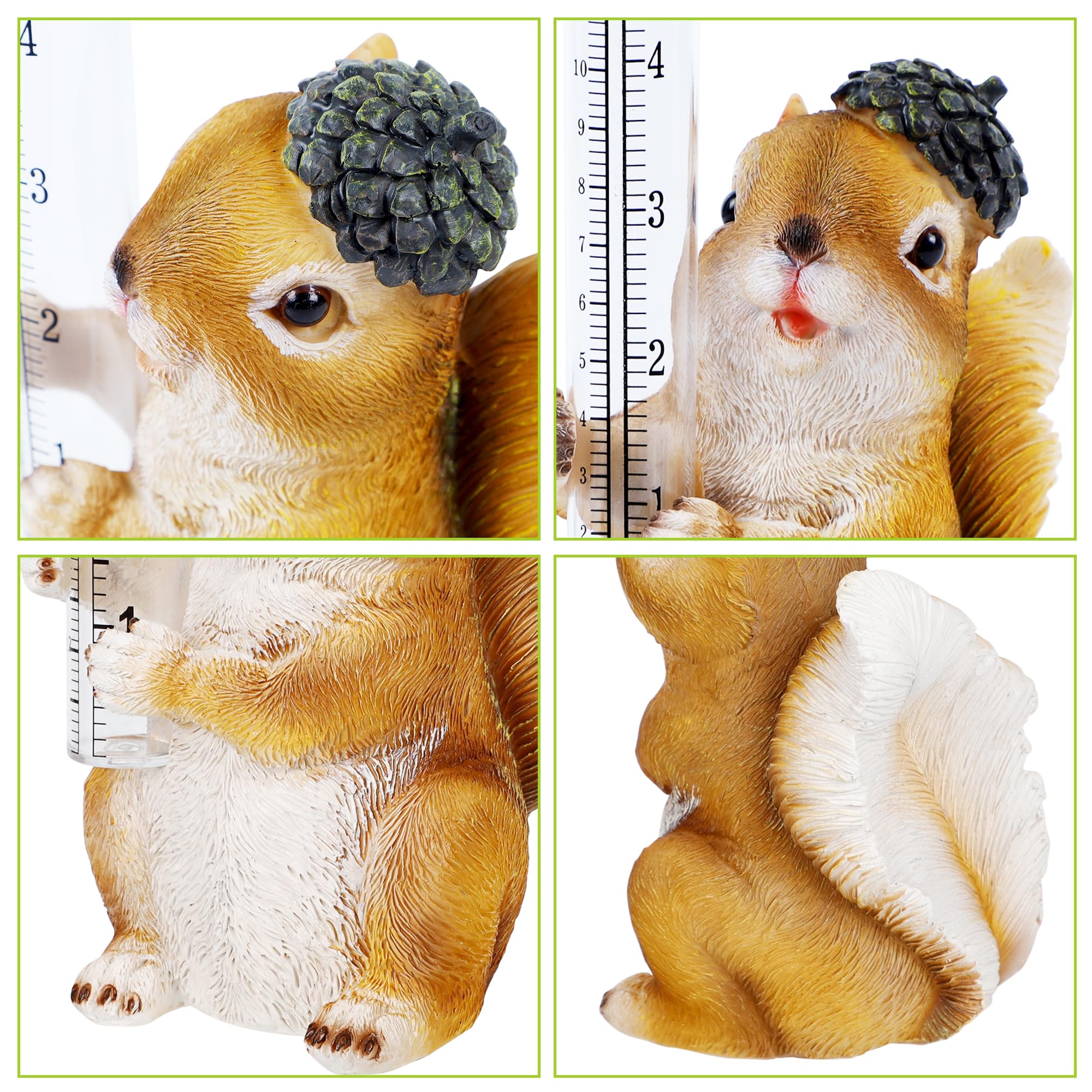 Amazon.com : FORUP Resin Squirrel Rain Gauge, Hand Painted